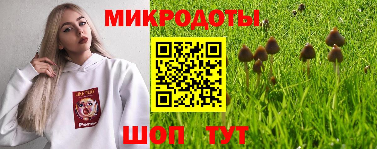 Галлюциногенные грибы Psilocybe  Вход с VPN  Кызыл  цены   Псилоцибиновые грибы мицелий 