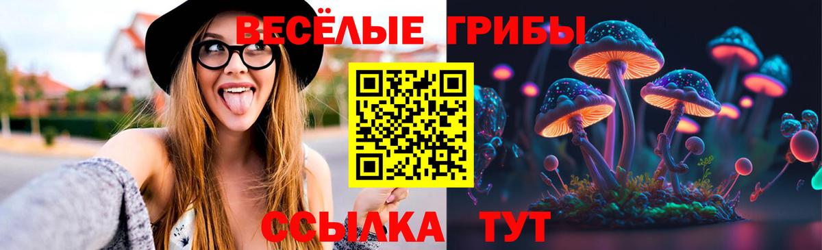 Галлюциногенные грибы Psilocybine cubensis Кызыл